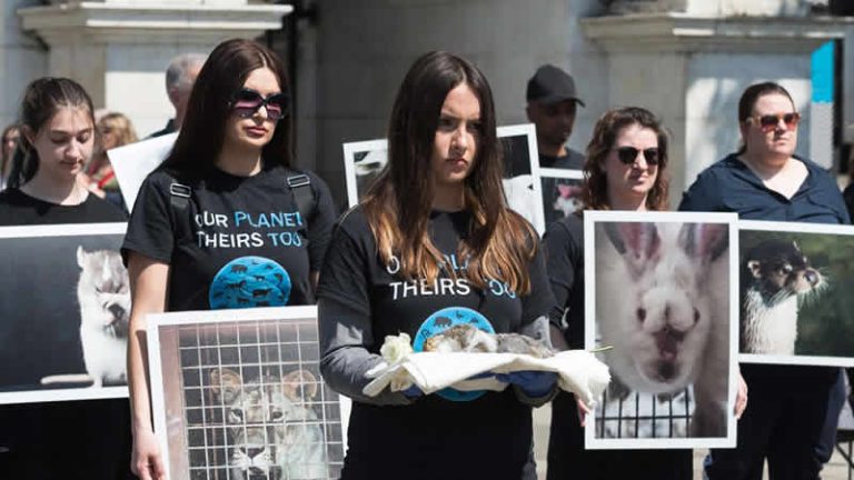 Londra’da Ulusal Hayvan Hakları Günü’nde anma töreni düzenlendi