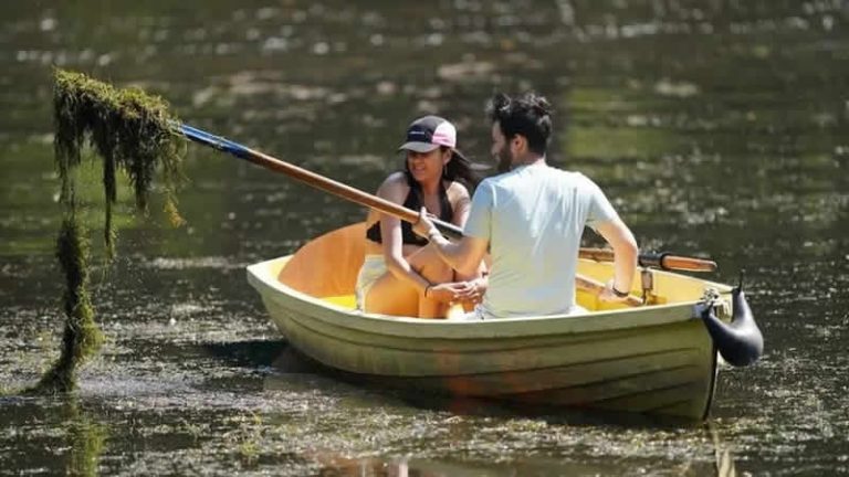 Birleşik Krallık’ta sıcaklar balıkları tehdit edecek seviyede