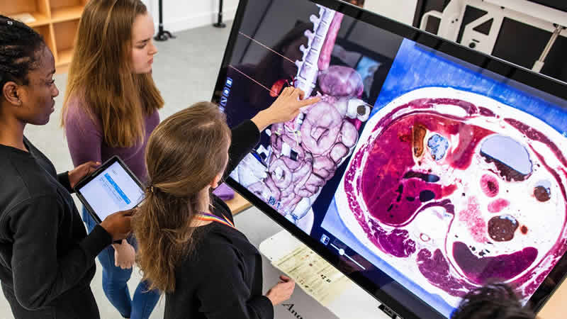 İngiltere’de tıp eğitimini 4 yıla indirme hazırlığı