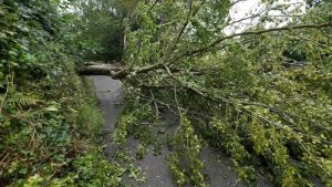 Antoni Fırtınası’nın İngiltere ve Galler’i vurması bekleniyor