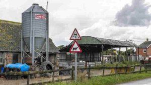 İneğe tecavüz eden 25 yaşındaki genç İngiltere’de infial yarattı