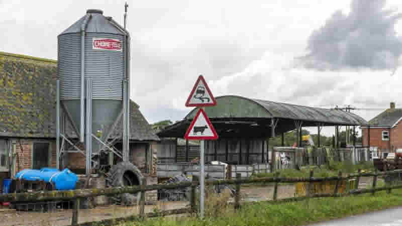 İneğe tecavüz eden 25 yaşındaki genç İngiltere’de infial yarattı