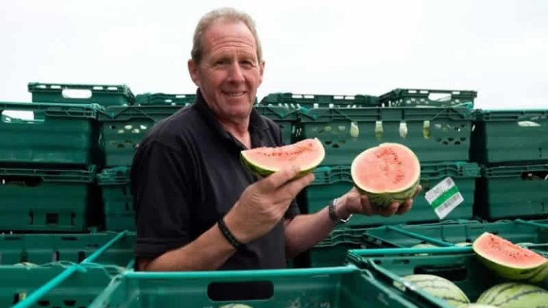 İngiltere’nin karpuz rekoru kırıldı