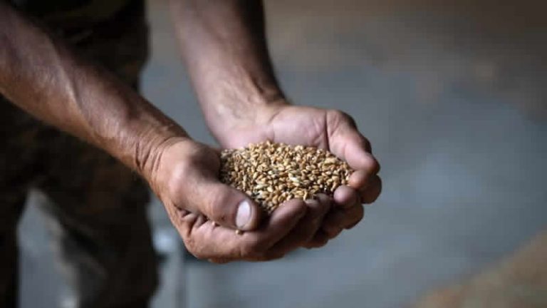 İngiltere’de küresel gıda güvenliği zirvesi düzenlenecek