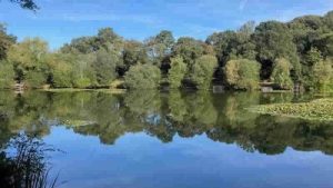 Kingsley Göleti’ndeki çocuk ölümü sonrası ilk tutuklama