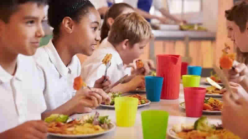 Okullarda ve NHS yemeklerinde antibiyotik kullanımını azaltma mücadelesi