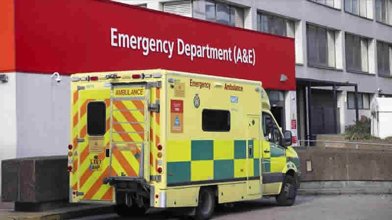 Sunderland’de American Bully XL cinsi köpeğin saldırdığı bir kişi hayatını kaybetti