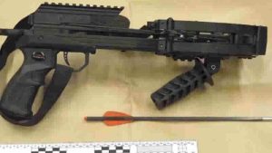 Tatar yayı ile Kraliçe’yi öldürmeyi planlayan kişiye 9 yıl hapis