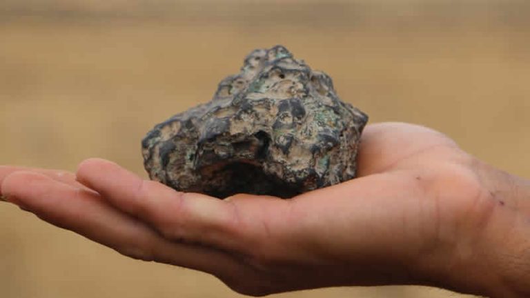 Almanya’daki gurbetçinin bahçesine düşen gök taşının değeri dudak uçuklattı