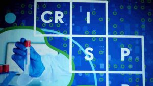 İngiltere gen terapisine izin veren ilk ülke oldu