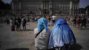 2060 senaryosu: Londra’da tropik hastalık yayan sivrisinekler yayılacak