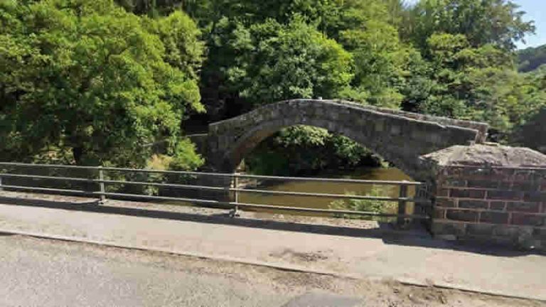 York’un kuzeyinde nehre uçan araçtaki 3 kişi hayatını kaybetti