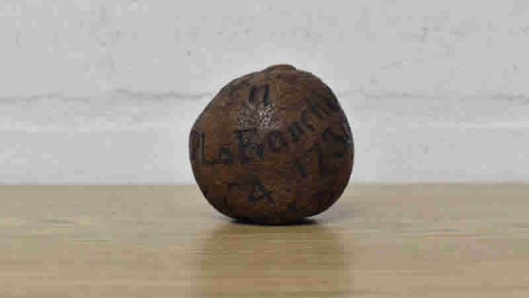 İngiltere’de bulunan 285 yıllık limon 1.400 sterline satıldı