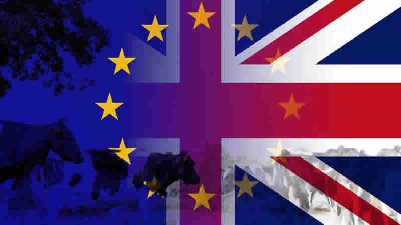 Goldman’dan Sachs: İngiltere ekonomisi Brexit öncesinden daha kötü durumda