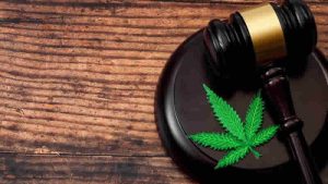 Almanya’da ‘esrar kullanımı’ artık serbest