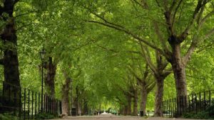 Birleşik Krallık’taki çocukların yüzde 76’sı doğada daha çok zaman geçirmek istiyor