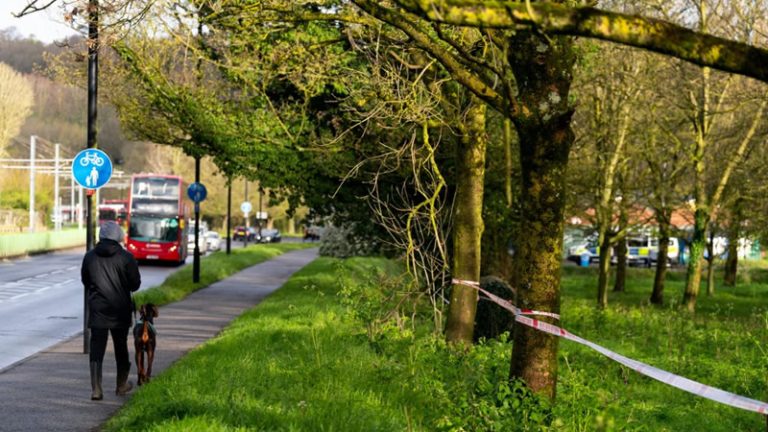 Londra’nın güneyindeki Croydon parkında bulunan kalıntıların kime ait oluğu belirlendi