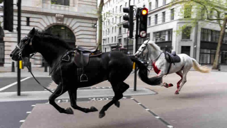 Kraliyet atları Londra’yı birbirine kattı!