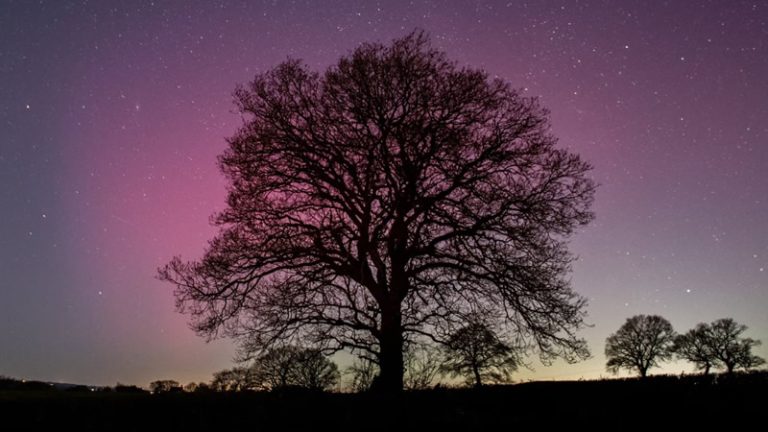İngiltere’de bu hafta sonu “kuzey ışıkları” görülebilecek