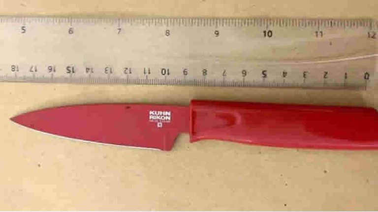 İngiltere’de kurbanlarının cinsel organlarını keserek yiyen suç örgütü liderine 22 yıl hapis