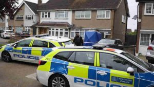 Doğu Londra’da bir kadın, XL Bully cinsi köpeklerin saldırısı sonucu öldü