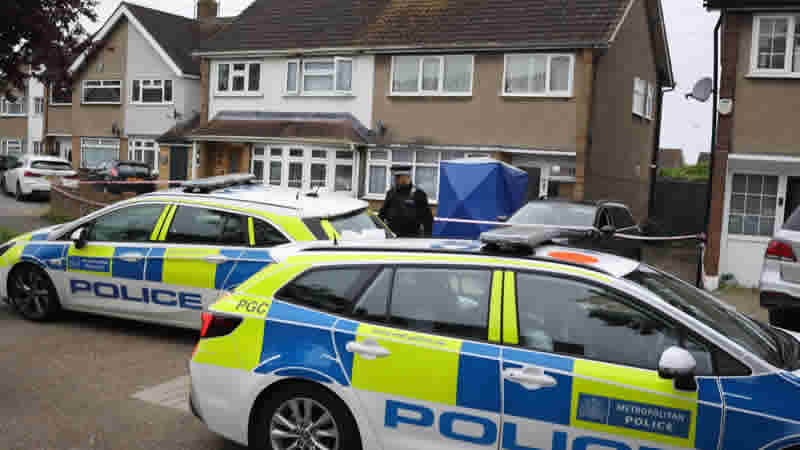 Doğu Londra’da bir kadın, XL Bully cinsi köpeklerin saldırısı sonucu öldü