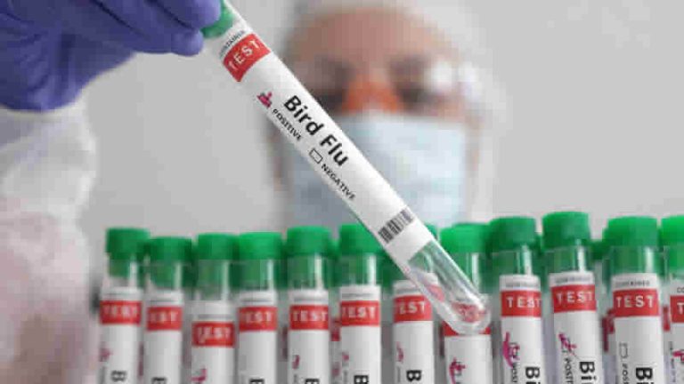 Kuş Gribinin Alt Türü Olan H5N2 Kaynaklı İlk Ölüm Doğrulandı