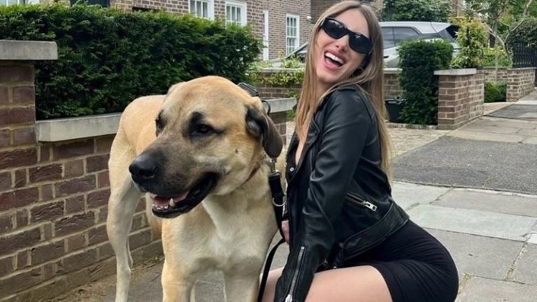 Londra Sokaklarında Bir Kangal: Pasha