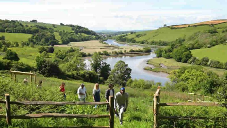 Güney Devon’da Huzuru Bulmak: Sharpham Malikânesi