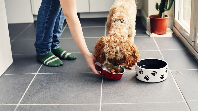 İngiltere Laboratuvarda Yetiştirilen Ete Onay Veren İlk Avrupa Ülkesi Oldu