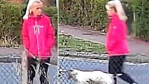 Suffolk’ta Köpeğini Gezdiren Kadın Saldırı Sonrası Hayatını Kaybetti