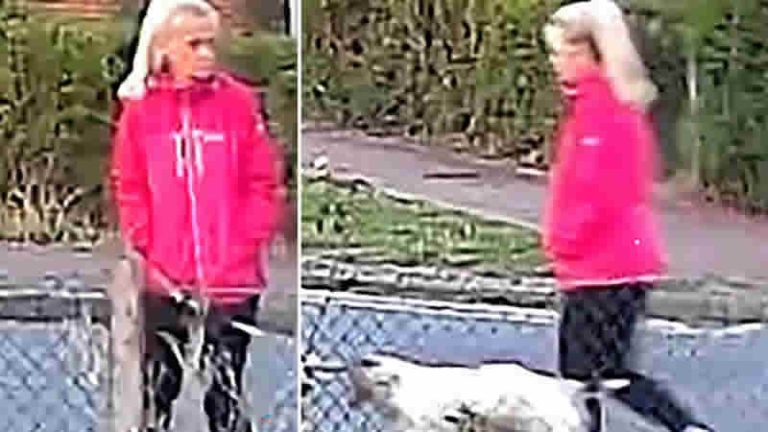 Suffolk’ta Köpeğini Gezdiren Kadın Saldırı Sonrası Hayatını Kaybetti