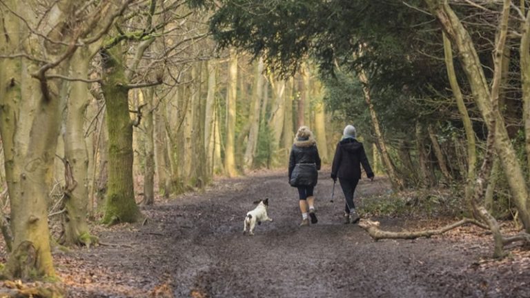 45 Dakika İçinde Londra’dan Doğaya Kaçış
