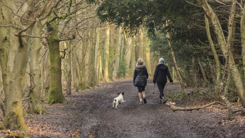 45 Dakika İçinde Londra’dan Doğaya Kaçış