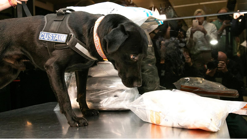 Eski Arsenalli Futbolcu Stansted Havaalanı’nda Ele Geçirilen Uyuşturucu Nedeniyle Hakim Karşısında