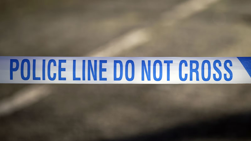 Slough’da XL Cinsi Köpeğin Ölümüne Neden Olan 2 Saldırgan Tutuklandı