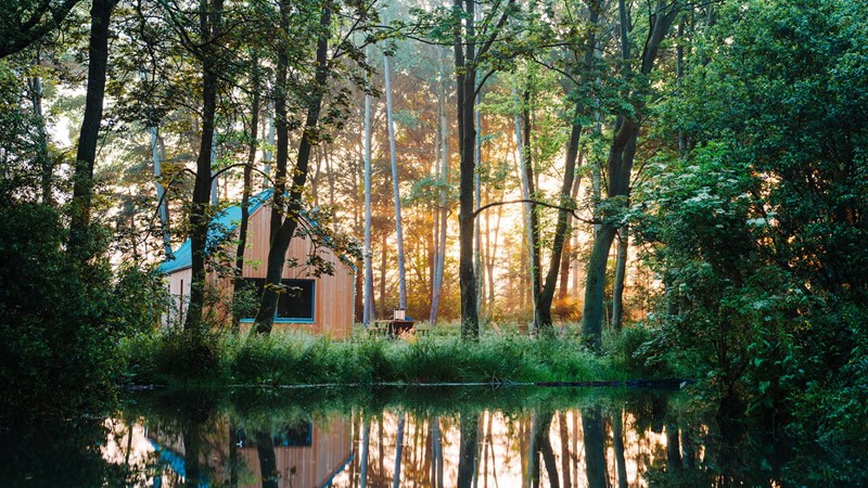 Harika Kulübelerden Kır Evlerine: Britanya’da En İyi 6 Orman Kaçamağı