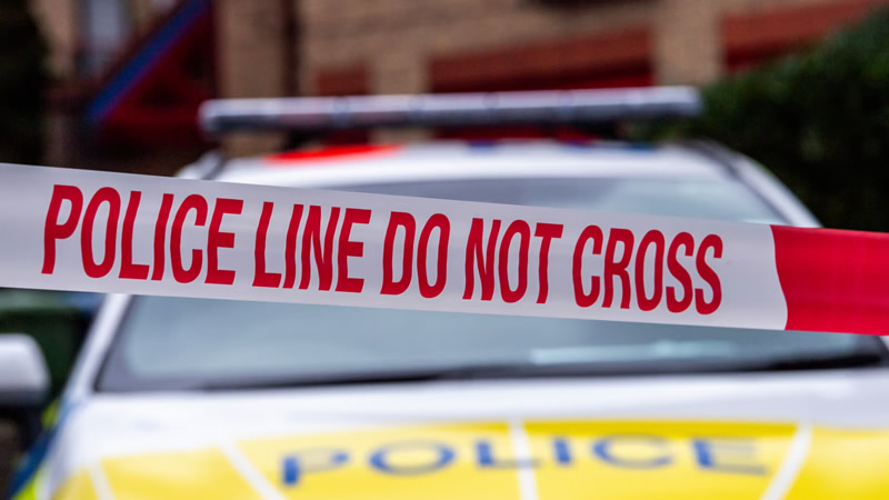 10 Yaşındaki Kızın Ölümüne Yol Açan Köpek İtlaf Edilecek