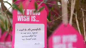 İngiltere’de Yardımlı Ölüm Yasa Tasarısı Neleri Kapsıyor?