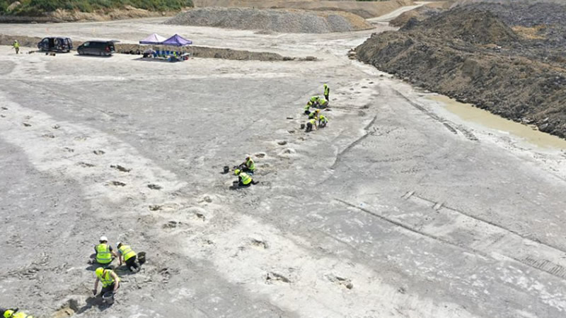 İngiltere’de Tarihi Keşif: Ülkenin En Büyük Dinozor Ayak İzi Alanı Bulundu