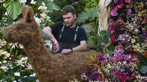 Londra’da Orkide Festivali İçin Geri Sayım Başladı