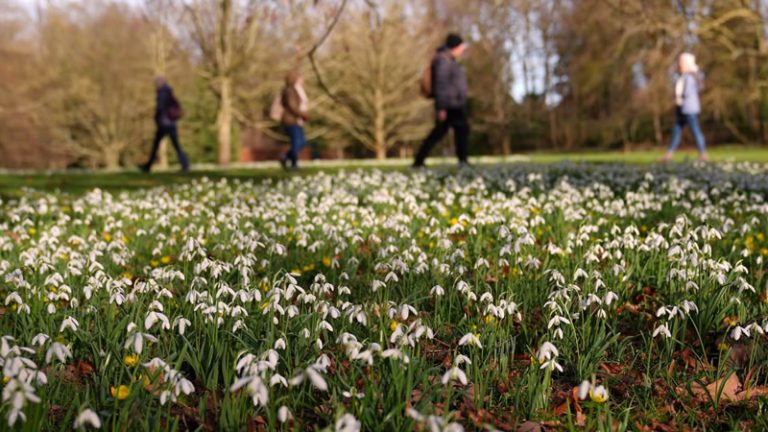 İngiltere’de ‘Antisiklonik Kasvet’ Sonrası Sıcaklıklar 14°C’ye Kadar Yükselecek