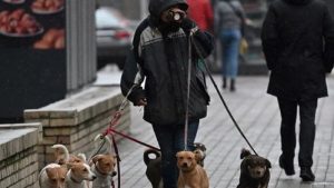 İngiltere’de Vasıflı İşçi Vizesi İçin Şaşırtan Meslekler