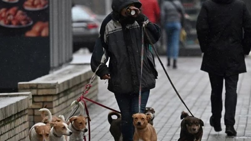 İngiltere’de Vasıflı İşçi Vizesi İçin Şaşırtan Meslekler