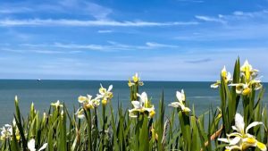 İngiltere’de Hava Sıcaklıkları Artıyor: Yunanistan’dan Daha Sıcak Olacak