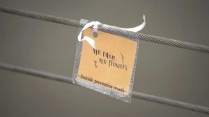 İngiltere’de 50 Kişiyi İntihara Teşvik Eden Site Hakkında Soruşturma Başlatıldı