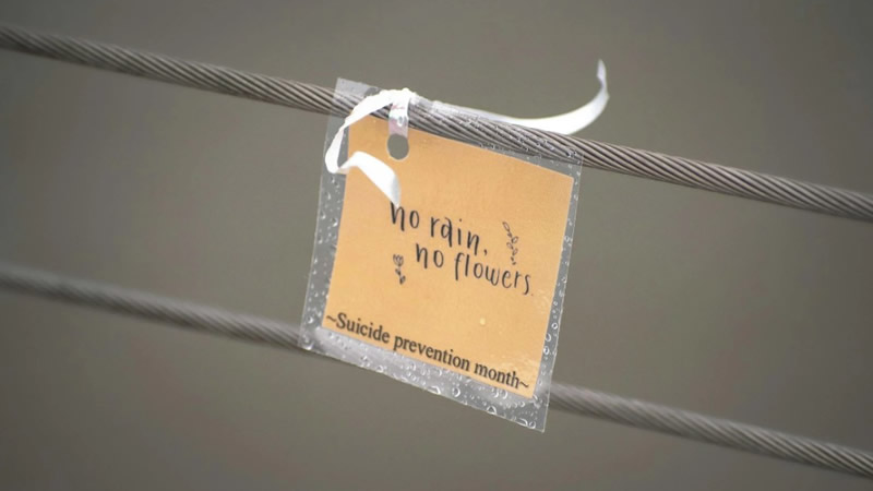 İngiltere’de 50 Kişiyi İntihara Teşvik Eden Site Hakkında Soruşturma Başlatıldı