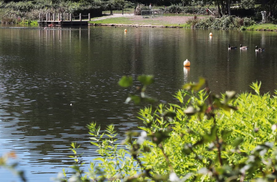 Londra’daki Beckenham Place Park’ta Göle Düşen 15 Yaşındaki Çocuk Hayatını Kaybetti