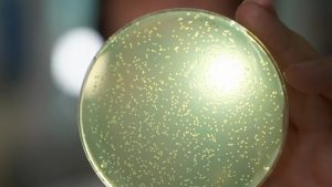 İngiliz Bilim İnsanları Sıfırdan İnsan DNA’sı Üretme Projesine Resmen Başladı