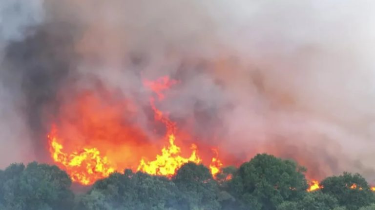Dorset’te Yangın: 20 Ev Tahliye Edildi